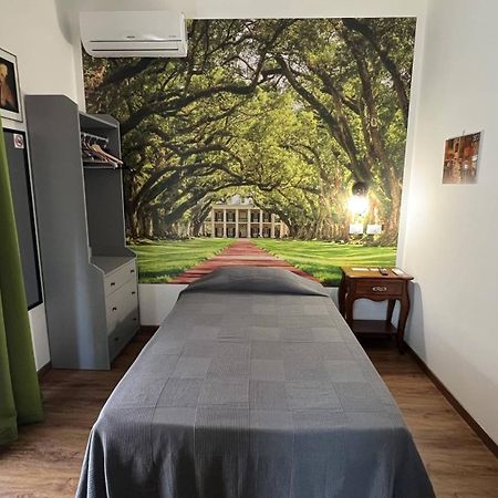Guest House Le Vagabonde 菲乌米奇诺 外观 照片